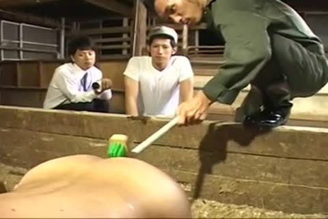 (recent sexual) homosexual Milk Farm-01