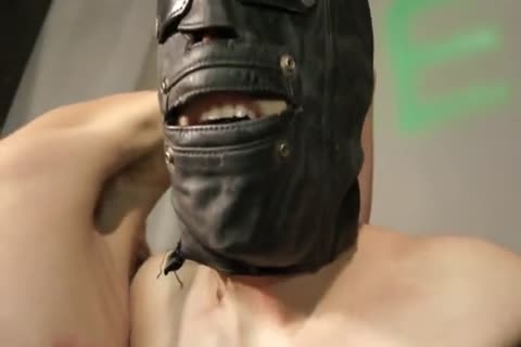 bdsm thraldom lad Whipped, Waxed, Milked