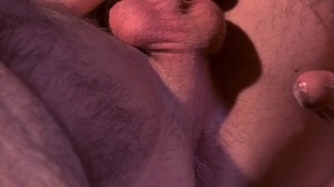 Top To Bottom : Woody Fox - Woody Fox painfully Sex