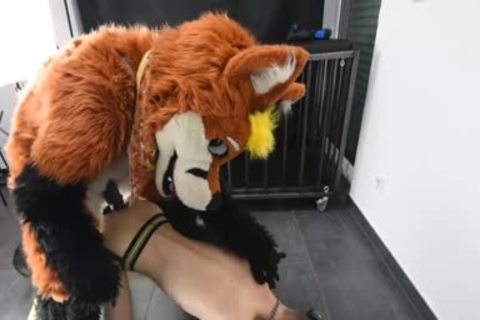 Puppy acquires banged By Fursuit With  fake penis