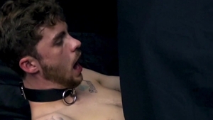 RawFuckBoys: Logan Carter with Scott Bisset hard ass to mouth