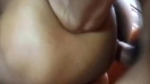 Latino Fan Club - LFC - Latin Gold two