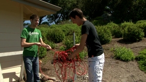 Next Door Twink: Daring Adventures in Intimate Exploration